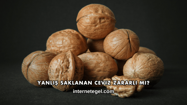 Yanlış Saklanan Ceviz Zararlı mı?