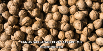 Yanlış Saklanan Ceviz Zararlı mı?
