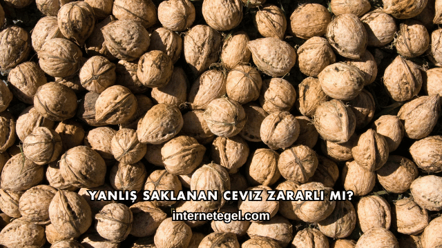 Yanlış Saklanan Ceviz Zararlı mı?