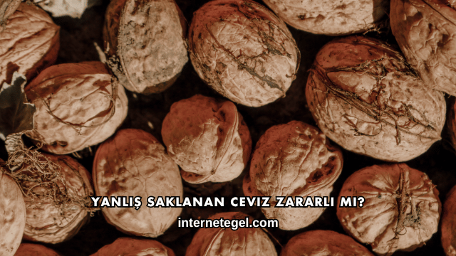 Yanlış Saklanan Ceviz Zararlı mı?
